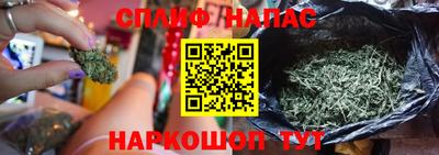 СК Белореченск