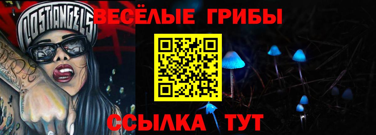 Галлюциногенные грибы Magic Shrooms  Вход с VPN  Гудермес  Галлюциногенные грибы Psilocybe 