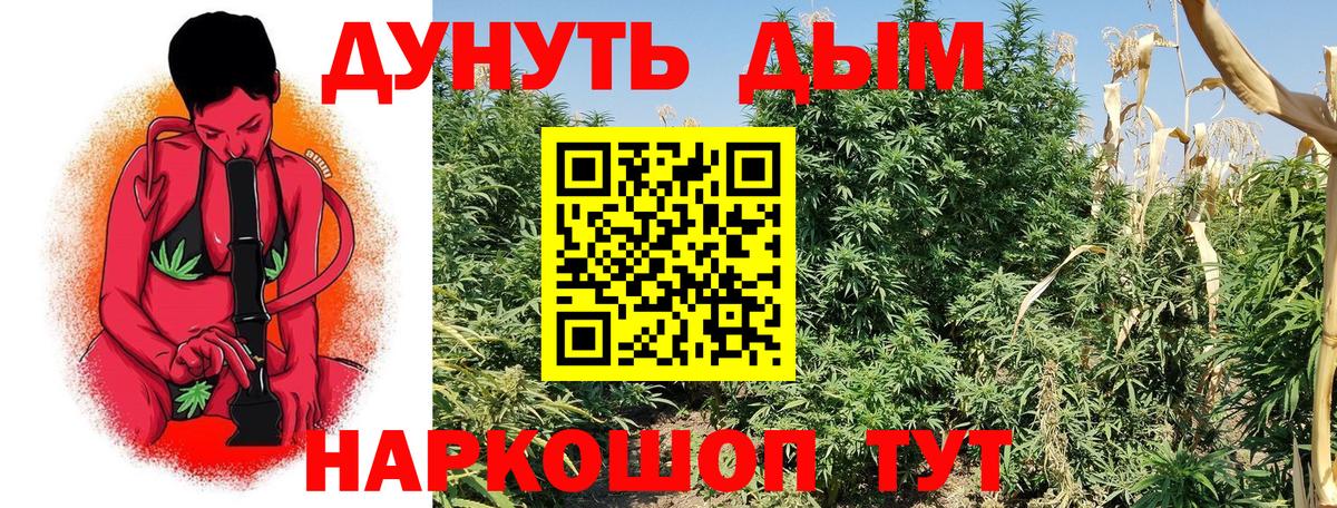 Марихуана SATIVA & INDICA Гудермес